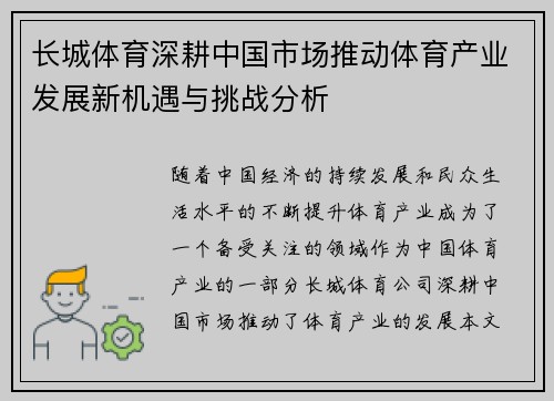 长城体育深耕中国市场推动体育产业发展新机遇与挑战分析